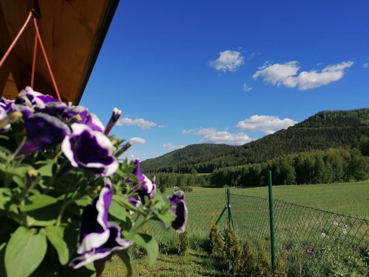 Domki Pod Derkaczem Radkow Dış mekan fotoğraf