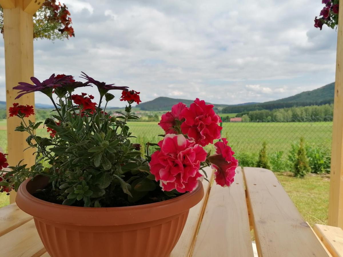 Domki Pod Derkaczem Radkow Dış mekan fotoğraf